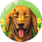 Molly Avatar